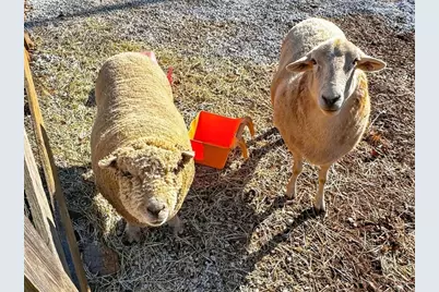 285 Dial Mill Road, Oxford, GA 30054 - Photo 87