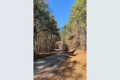 0 Campbellton Redwine Road, Chattahoochee Hills, GA 30268 - Photo 7