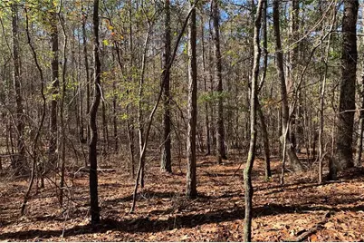 0 Campbellton Redwine Road, Chattahoochee Hills, GA 30268 - Photo 5