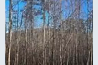 256 Canyon Point Drive, Demorest, GA 30535 - Photo 35