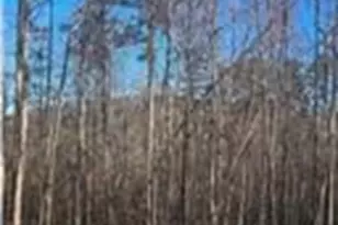 256 Canyon Point Dr, Demorest, GA 30535 - Photo 35