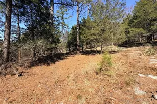 4012 Paulette Dr, Monroe, GA 30656 - Photo 13