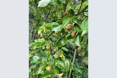 1760 Shire Village Drive, Sugar Hill, GA 30518 - Photo 45