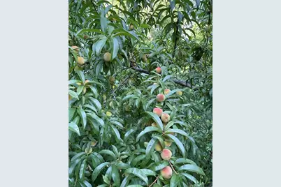 1760 Shire Village Drive, Sugar Hill, GA 30518 - Photo 41