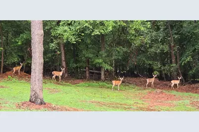 4279 Red Fox Trail Trail, Oakwood, GA 30566 - Photo 65