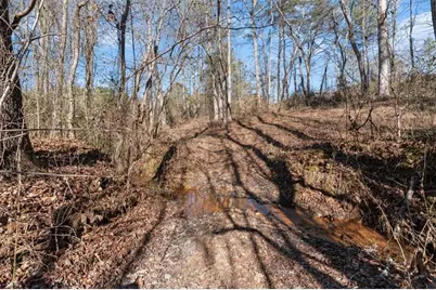 80 Hand Road, Bowdon, GA 30108 - Photo 81