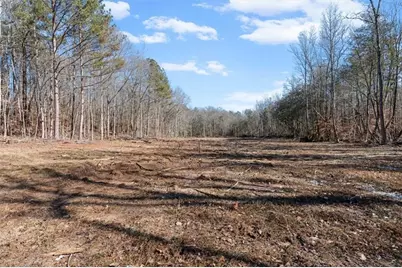 80 Hand Road, Bowdon, GA 30108 - Photo 53