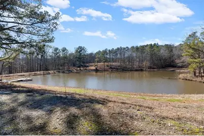 80 Hand Road, Bowdon, GA 30108 - Photo 61