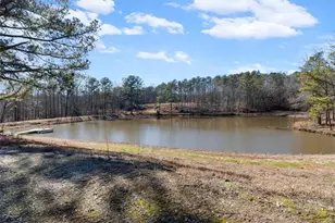 80 Hand Rd, Bowdon, GA 30108 - Photo 61