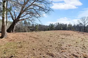 80 Hand Rd, Bowdon, GA 30108 - Photo 49