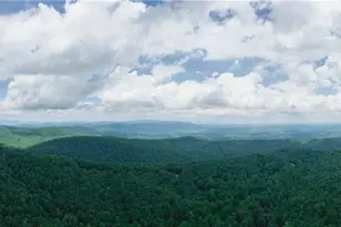 729 Huckleberry Way, Jasper, GA 30143 - Photo 71