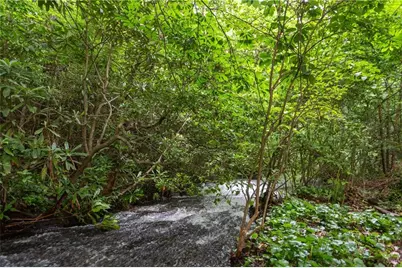 729 Huckleberry Way, Jasper, GA 30143 - Photo 67