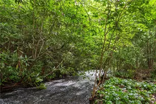 729 Huckleberry Way, Jasper, GA 30143 - Photo 67