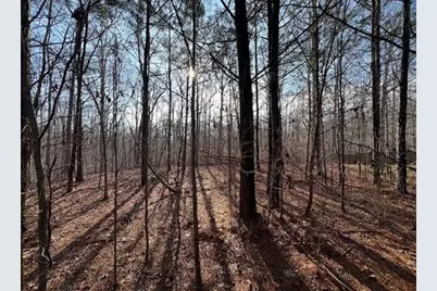 5255 Red Hawk Drive, Gainesville, GA 30507 - Photo 5