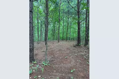 5255 Red Hawk Drive, Gainesville, GA 30507 - Photo 3