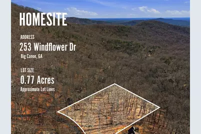 253 Windflower Drive, Big Canoe, GA 30143 - Photo 7