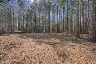 117 Wallace Way, Rockmart, GA 30153 - Photo 33