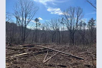 27.68 Chapman Ridge Lane, Dahlonega, GA 30533 - Photo 5