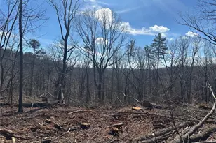 27 68 Chapman Ridge Ln, Dahlonega, GA 30533 - Photo 1