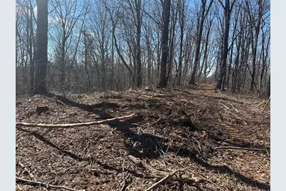 27.68 Chapman Ridge Lane, Dahlonega, GA 30533 - Photo 11