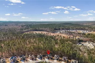 1256 Double Branches Ln, Dallas, GA 30132 - Photo 67