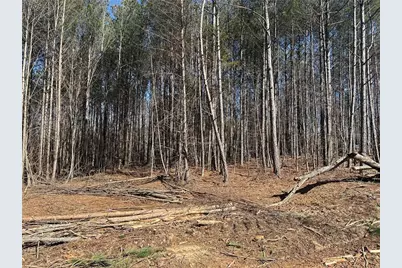 500 Chapman Ridge Lane, Dahlonega, GA 30533 - Photo 13