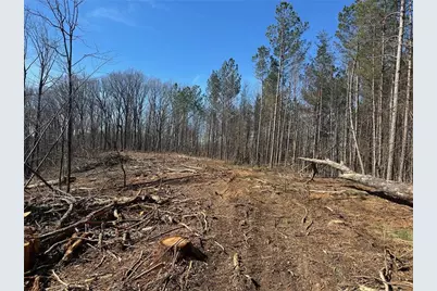 500 Chapman Ridge Lane, Dahlonega, GA 30533 - Photo 7