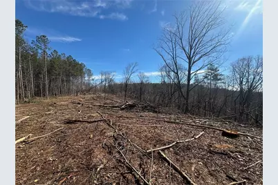 600 Chapman Ridge Lane, Dahlonega, GA 30533 - Photo 9