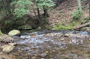 60 Clubhouse Ct, Ellijay, GA 30536 - Photo 51