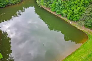 60 Clubhouse Ct, Ellijay, GA 30536 - Photo 43