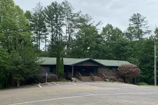 60 Clubhouse Ct, Ellijay, GA 30536 - Photo 55