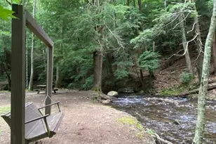 60 Clubhouse Ct, Ellijay, GA 30536 - Photo 53