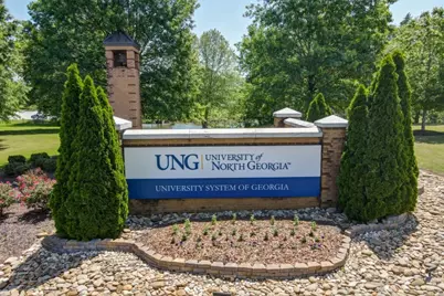 5662 Evelyn Lane, Flowery Branch, GA 30542 - Photo 55