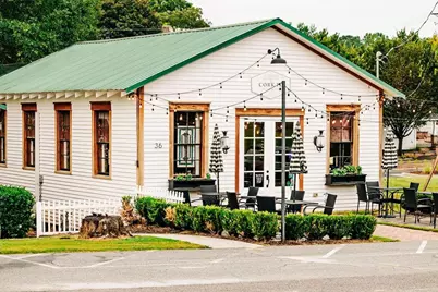 357 Scarlett Rose Way, Hoschton, GA 30548 - Photo 69