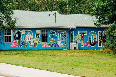 357 Scarlett Rose Way, Hoschton, GA 30548 - Photo 67