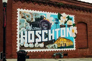 339 Scarlett Rose Way, Hoschton, GA 30548 - Photo 111