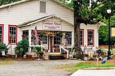 340 Scarlett Rose Way, Hoschton, GA 30548 - Photo 73