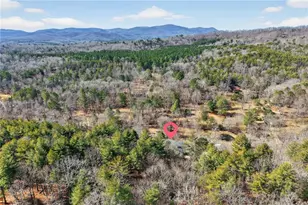 110 Old Indian Trail, Blue Ridge, GA 30513 - Photo 67