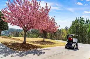 160 Cherokee Dr S, Waleska, GA 30183 - Photo 45