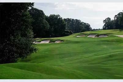 12080 Mountain Laurel Drive, Roswell, GA 30075 - Photo 41