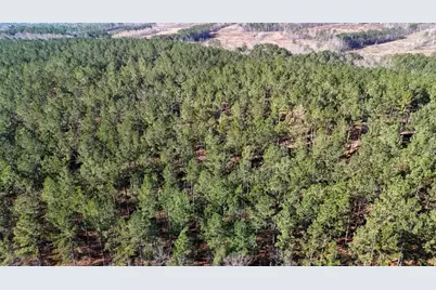 32 Acr Tract 14, Lyerly, GA 30730 - Photo 5