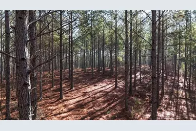 32 Acr Tract 14, Lyerly, GA 30730 - Photo 3