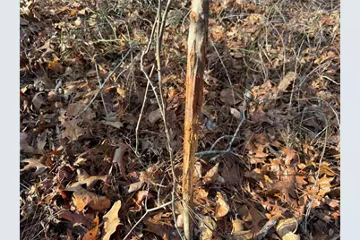 0 Lower Sweetwater Road, Canton, GA 30114 - Photo 23