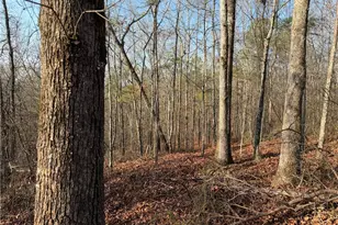 0 Lower Sweetwater Rd, Canton, GA 30114 - Photo 1