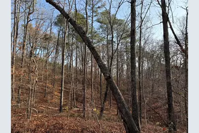 0 Lower Sweetwater Road, Canton, GA 30114 - Photo 9