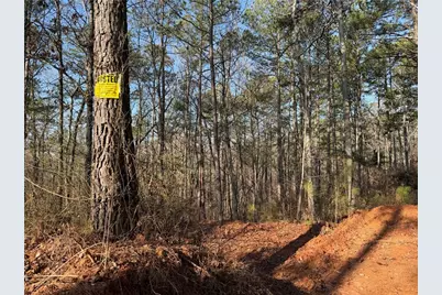 0 Lower Sweetwater Road, Canton, GA 30114 - Photo 29