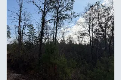 0 Lower Sweetwater Road, Canton, GA 30114 - Photo 5