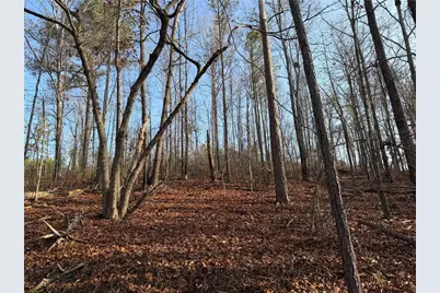 0 Lower Sweetwater Road, Canton, GA 30114 - Photo 7