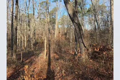 0 Lower Sweetwater Road, Canton, GA 30114 - Photo 21