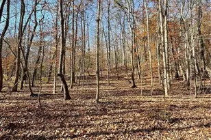 2197 Damascus Rd, Ball Ground, GA 30107 - Photo 9